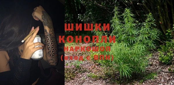 сатива Абаза