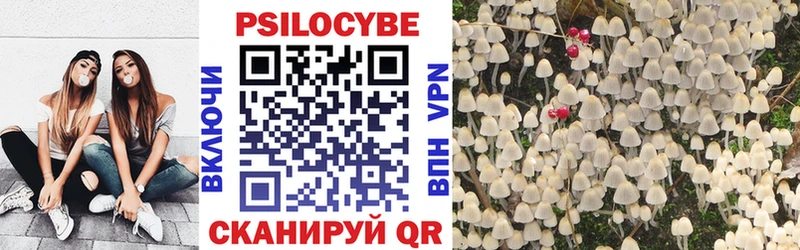 Галлюциногенные грибы прущие грибы  Новомичуринск 